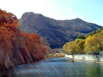 管家婆黑白马报图库，天涯股票论坛